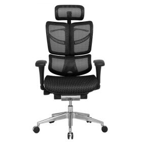 ERGO FLY Ergonomic Chair