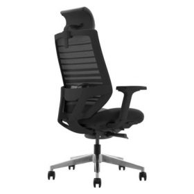FLY Mesh Ergonomic Chair