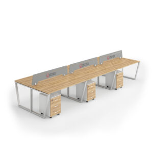 V : Workstation Cluster of 6 Face-to-Face