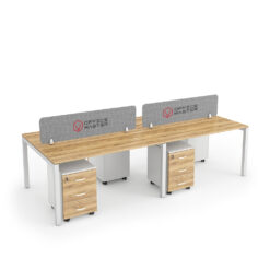 BELLA : Workstation Cluster of 4 Face-to-Face
