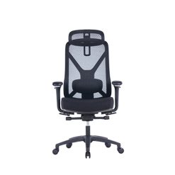 CROWN Mesh Ergonomic Chair