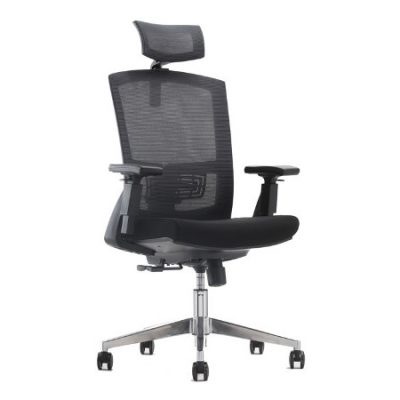 CROWN Mesh Ergonomic Chair