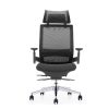 EMBRACE Mesh Ergonomic Chair