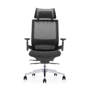 EMBRACE Mesh Ergonomic Chair