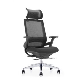 EMBRACE Mesh Ergonomic Chair