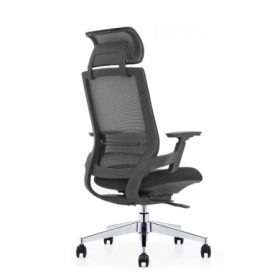 EMBRACE Mesh Ergonomic Chair