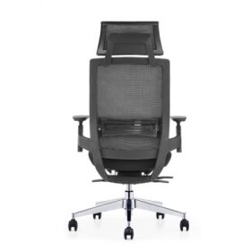 EMBRACE Mesh Ergonomic Chair