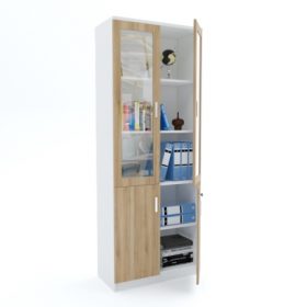 Full Height Cabinet (bottom wood top glass)