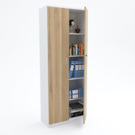 Full Height Cabinet (swing door)