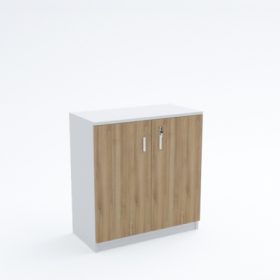 Low Height Cabinet (swing door)