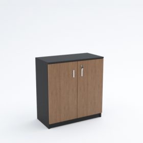 Low Height Cabinet (swing door)