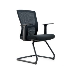 MESH-WING Visitor Chair