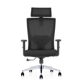 MOBI Mesh Ergonomic Chair