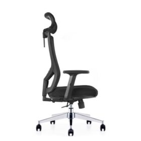 MOBI Mesh Ergonomic Chair
