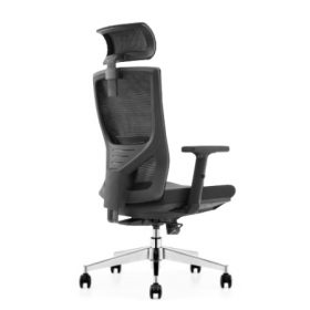MOBI Mesh Ergonomic Chair