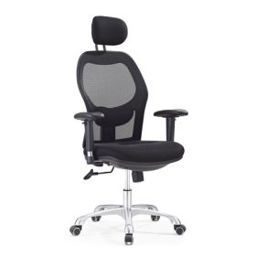 SALLY Mesh Ergonomic Chair