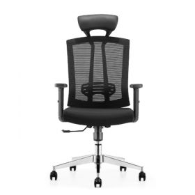 SALSA Mesh Ergonomic Chair