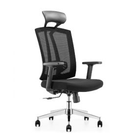 SALSA Mesh Ergonomic Chair