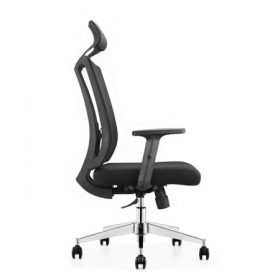 SALSA Mesh Ergonomic Chair