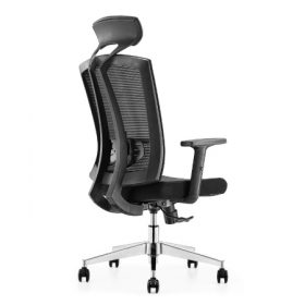 SALSA Mesh Ergonomic Chair