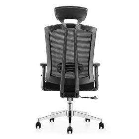 SALSA Mesh Ergonomic Chair