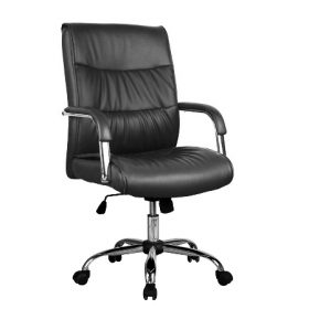SAM Low Back Leather Chair
