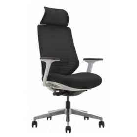 SPARTA White Frame Mesh Ergonomic Chair