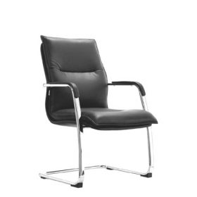 ZAZA Visitor Leather Chair