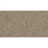 Homogeneous Vinyl Flooring 7222 Quebec