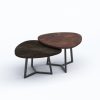 PLECTRA Dual Triangular Coffee Table