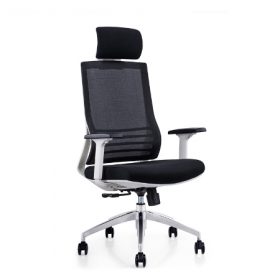RADIAN White Frame Mesh Ergonomic Chair