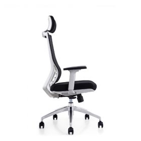 RADIAN White Frame Mesh Ergonomic Chair