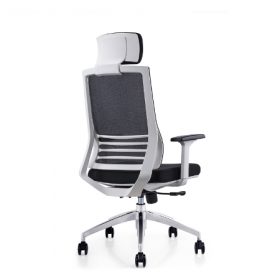RADIAN White Frame Mesh Ergonomic Chair