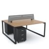 SCHON Workstation Cluster of 2 Face-to-Face