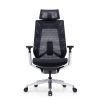 EROL Mesh Ergonomic Chair - OfficeMaster Dubai