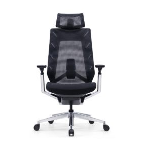 EROL Mesh Ergonomic Chair - OfficeMaster Dubai