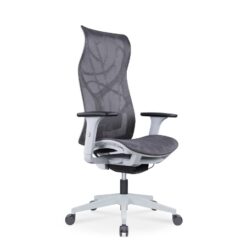 Alternative view of EVE Mesh Ergonomic Chair