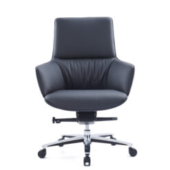 KALLIOPI Low Back Leather Chair