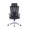 Olga Ergonomic Mesh Chair