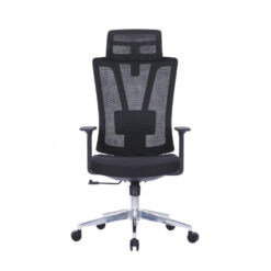 Olga Ergonomic Mesh Chair