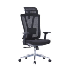 Olga Ergonomic Mesh Chair