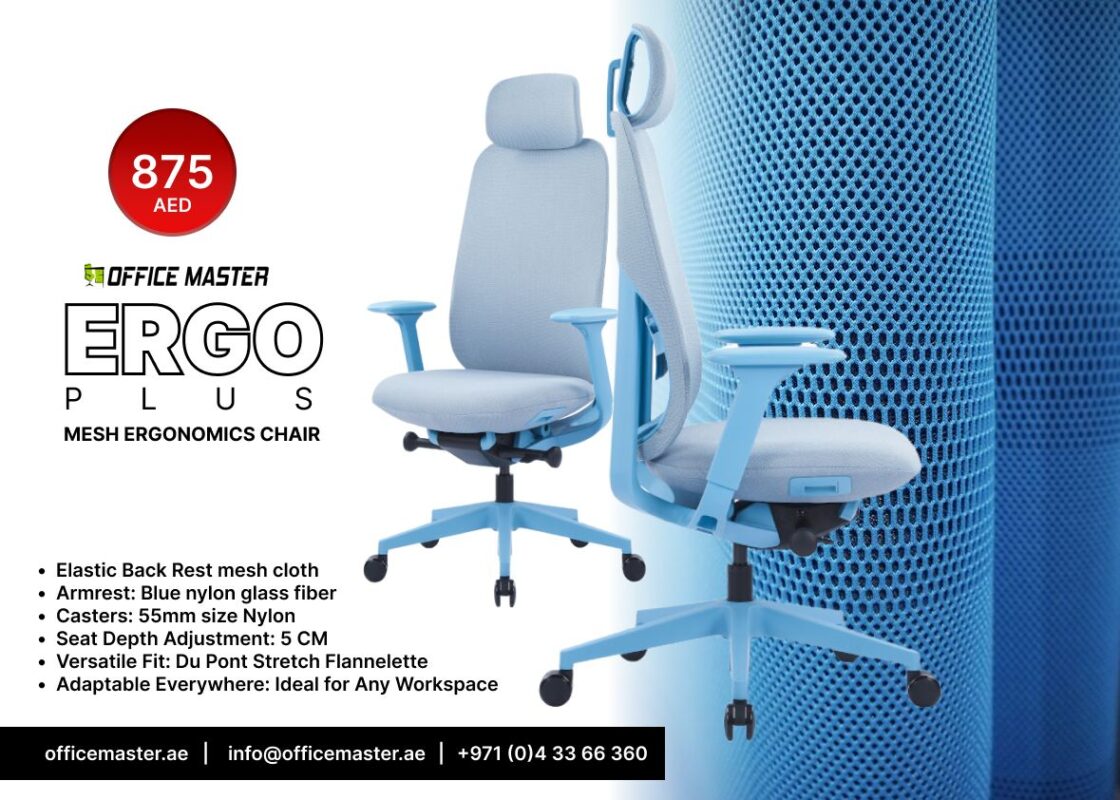 Ergo plus Ergonomic Office Chair - OfficeMaster Dubai - Mesh Chairs